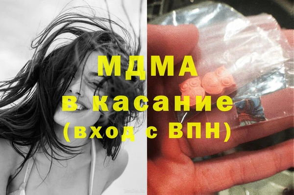 стаф Алзамай