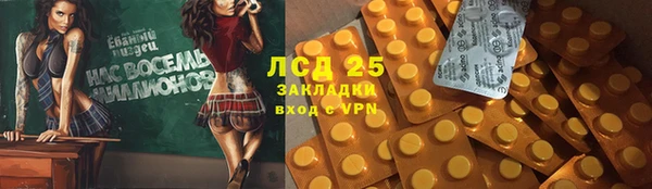 СК Алексин