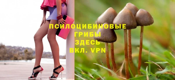 СК Алексин
