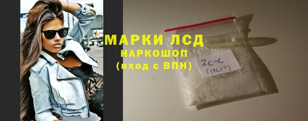 стаф Алзамай