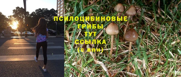 СК Алексин