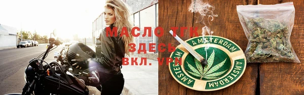 стаф Алзамай