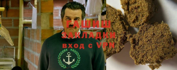 стаф Алзамай